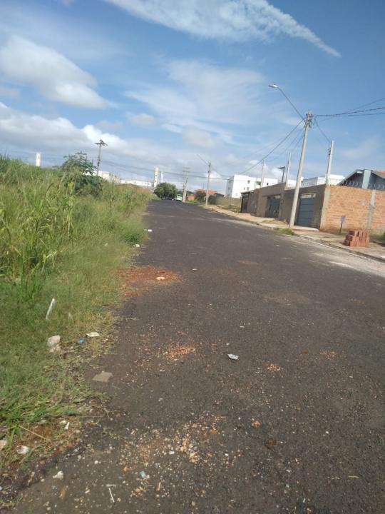 Foto 2 de 19 — Reclamação: “Onde deveria ser uma rua, só tem mato, lixo e água parada”, diz morador